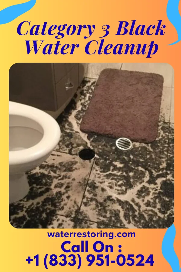 Category 3 Black Water Cleanup in Weaverville, NC