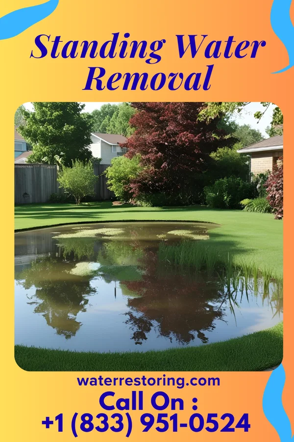 Standing Water Removal in Weaverville, NC